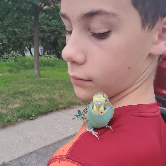 Meet your Posher, Melanie - Picture 6 of 8